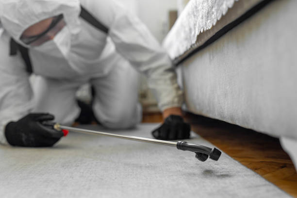 Professional Cockroach Control technician working in Plattsburgh, NY