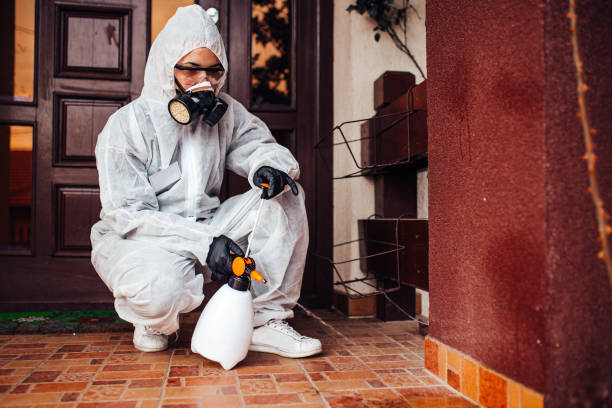Reliable Cockroach Control contractor in Plattsburgh, NY by Nex Pest Control